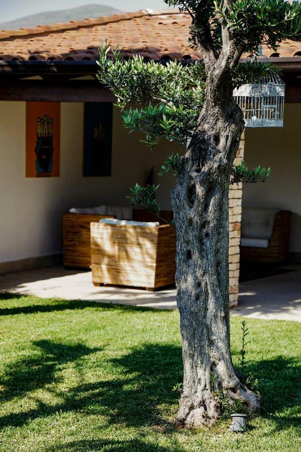 Villa Araucaria Partinico Extérieur photo